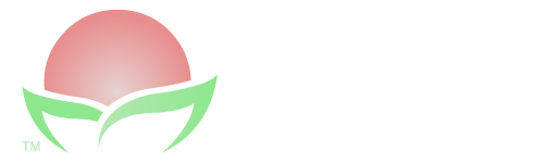 EFI logo